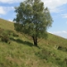Title IMG_1975.JPG