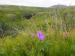 Title P7042618.JPG