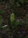Title P7042621.JPG
