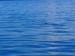 Title P7092913.JPG