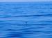 Title P7092916.JPG