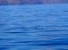Title P7092923.JPG