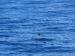 Title P7092951.JPG
