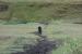 Title DSC01876.JPG
