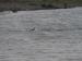 Title P7113079.JPG